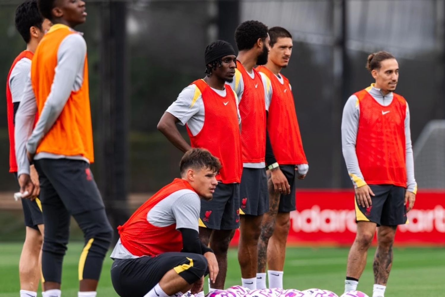 Darwin Nunez in training for Liverpool