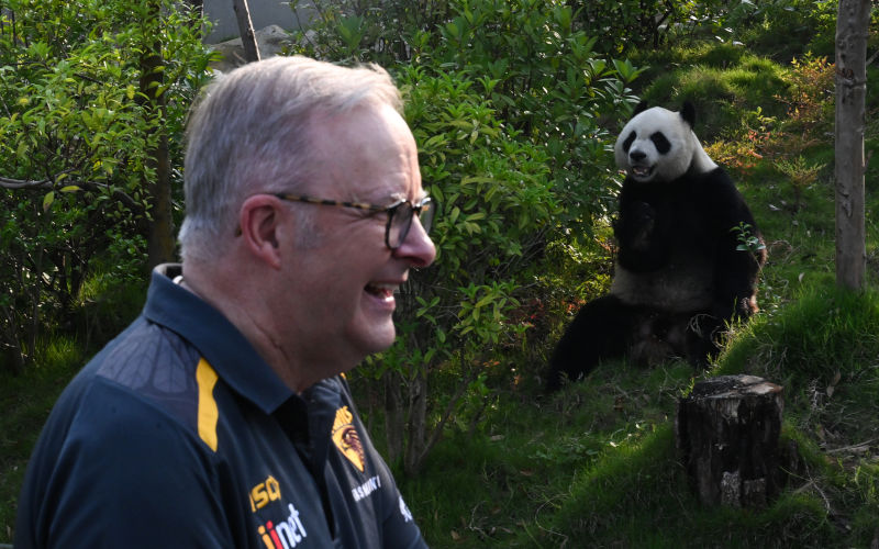 BREAKING: Albo doesn’t yell at Xi — (part of) nation panics
