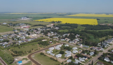 Independents up against Polievre say they’re ‘standing up’ for their community - CTV News