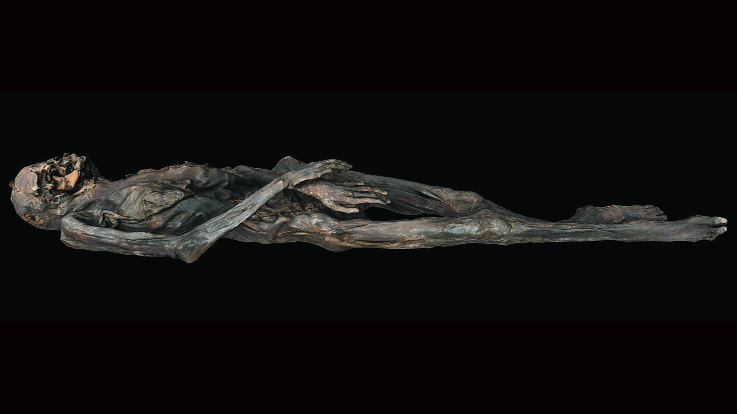human mummy 3D scan against a black background