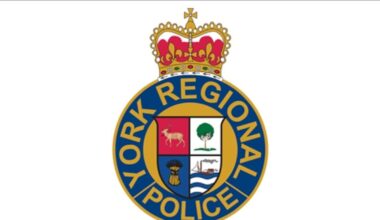 No one hurt after gunshots fird in vaughan
