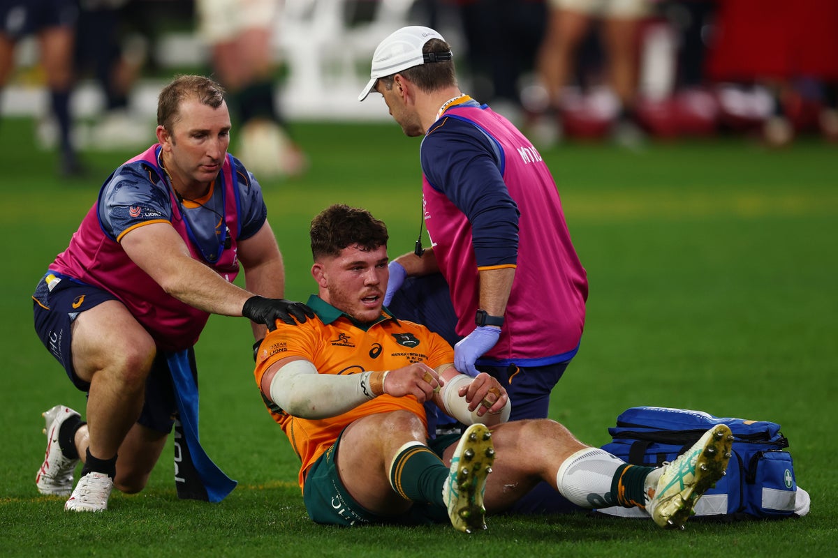 Joe Schmidt hits out at ‘online abuse’ of Carlo Tizzano after Jac Morgan incident in second Test