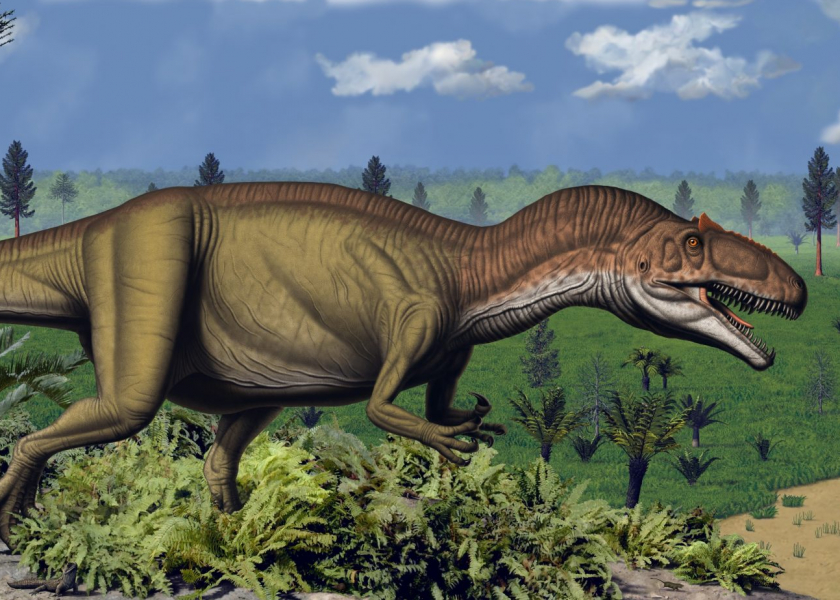 Clues for Dinosaurs’ Diets Found in the Chemistry of Their Fossil Teeth | Jackson School of Geosciences