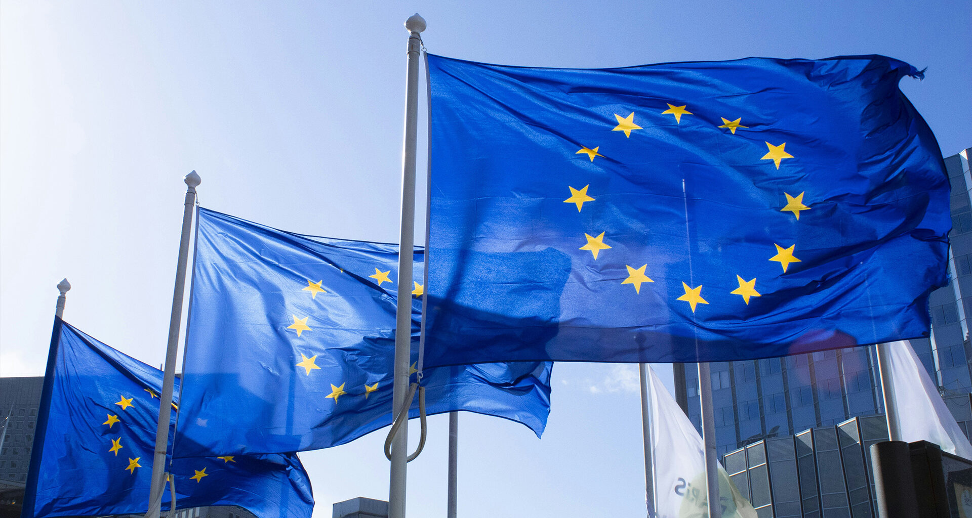 Irish MEP questions EU leadership after tariff deal