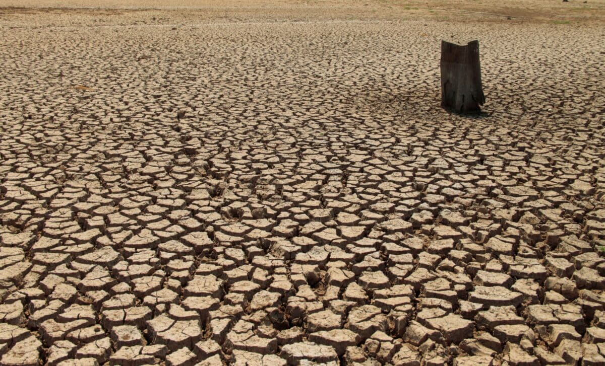 Earth’s Continents Are Drying Out Faster Than Ever