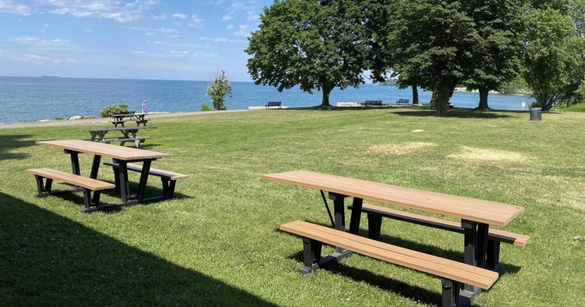 82-year-old man fatally struck by driver who stole his vehicle at Niagara area park - CTV News