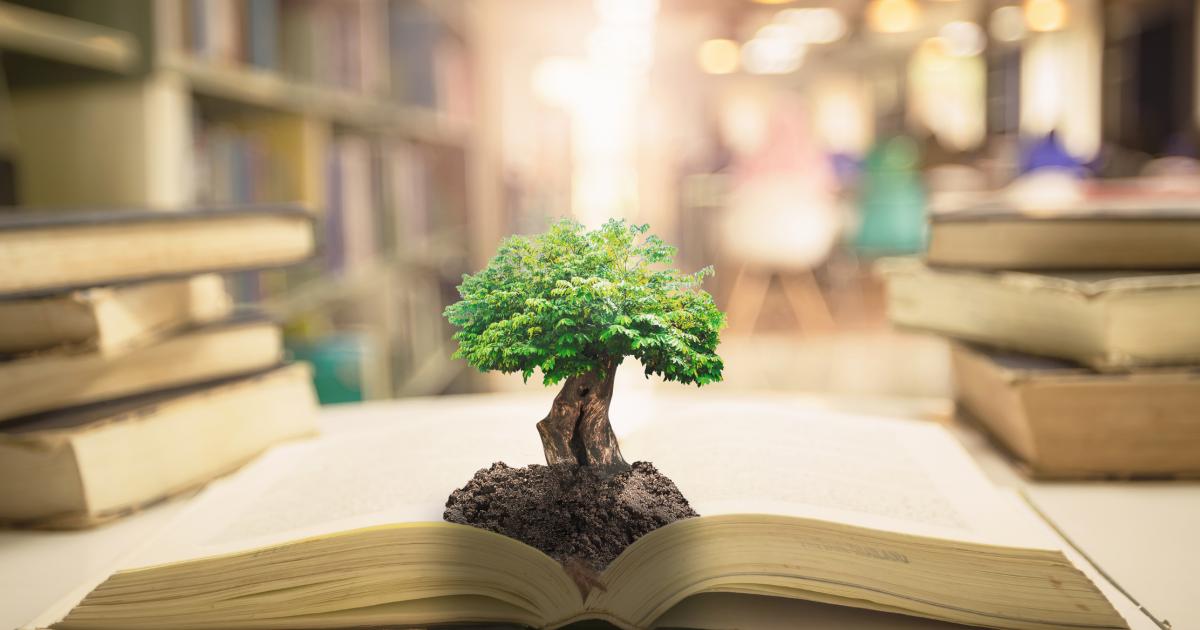 Feedback request on simplification of environmental legislation