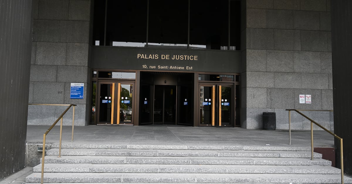 Quebec woman who left Canada to join ISIS pleads guilty to terrorism offence - CTV News