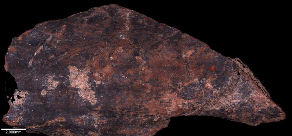 סריקה של דגימה ממערת עמוד