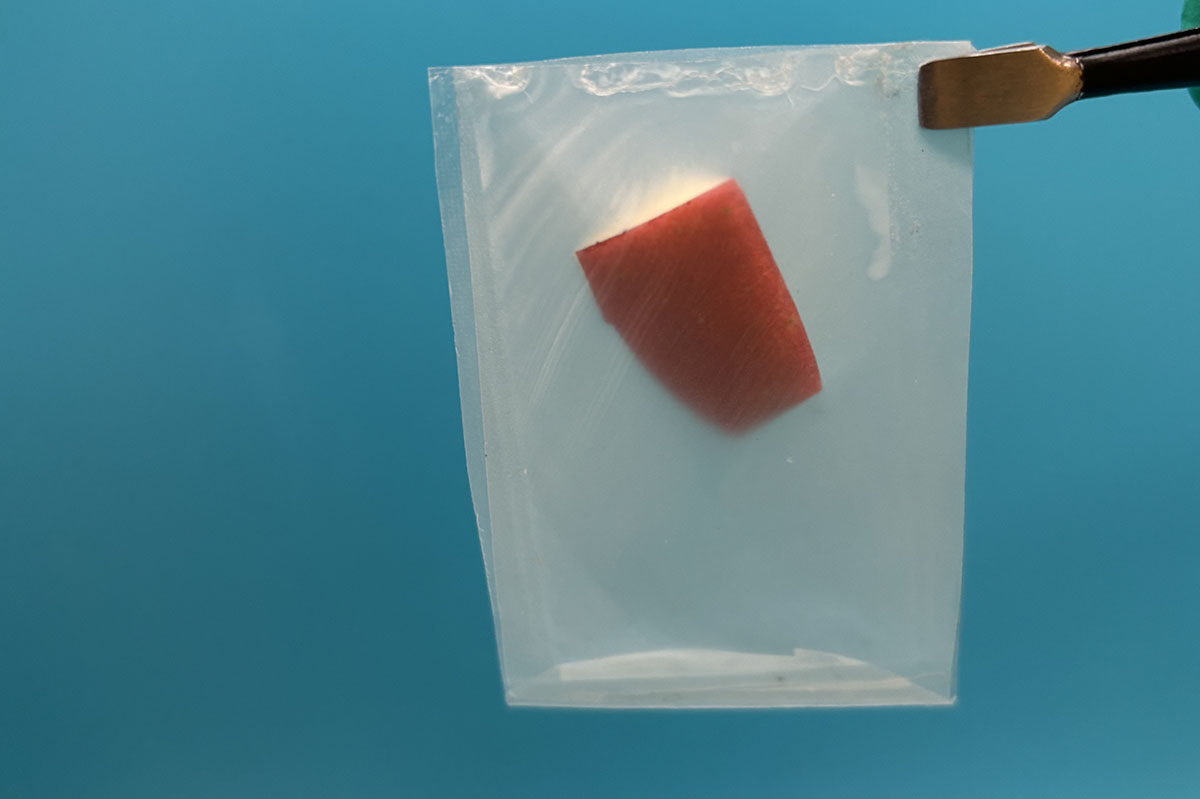 a transparent plastic bag with an apple slice