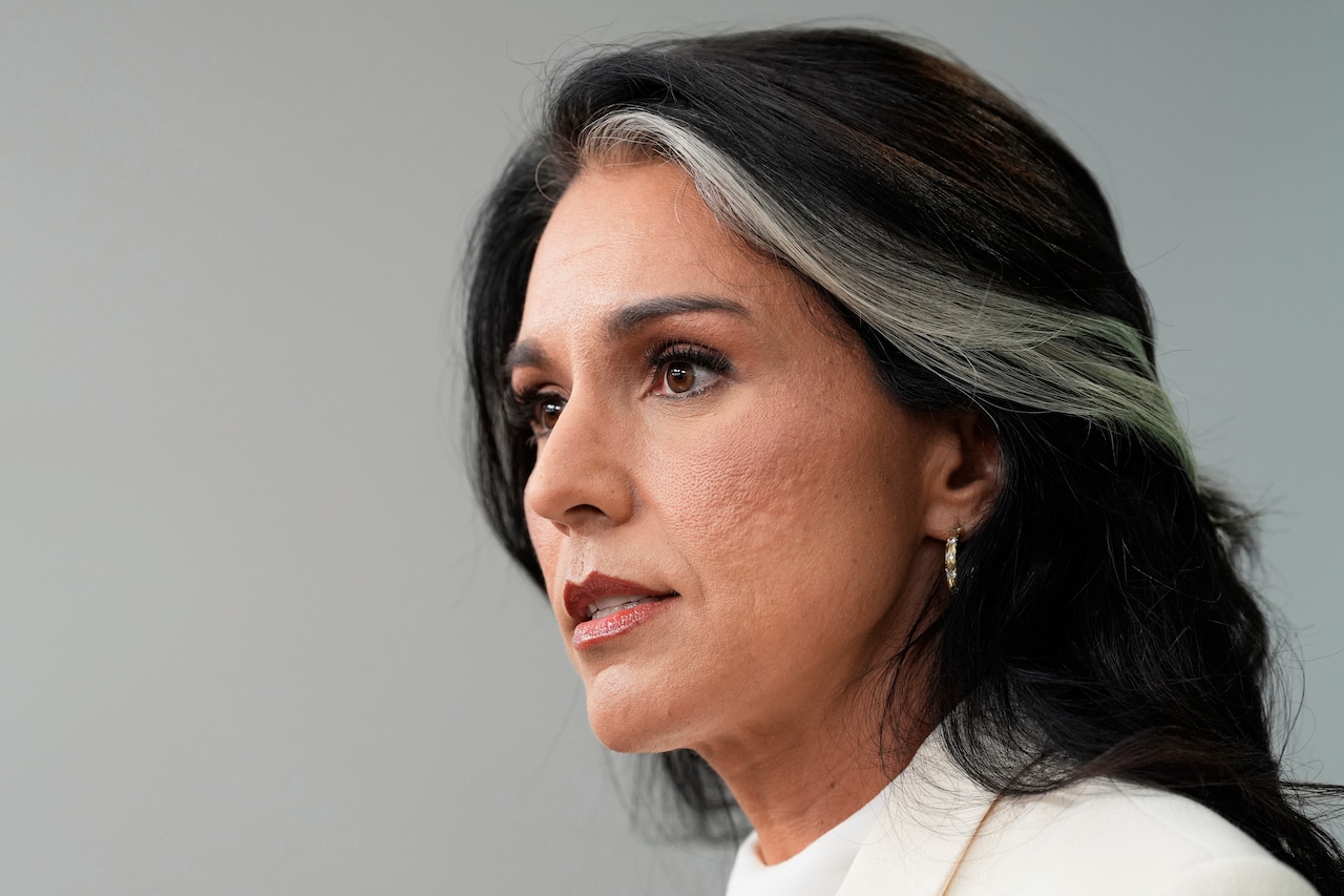 Tulsi Gabbard gets schooled over unprecedented 'conspiracy' claim