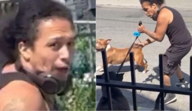 Suspect sought after woman attacked by unleashed dogs