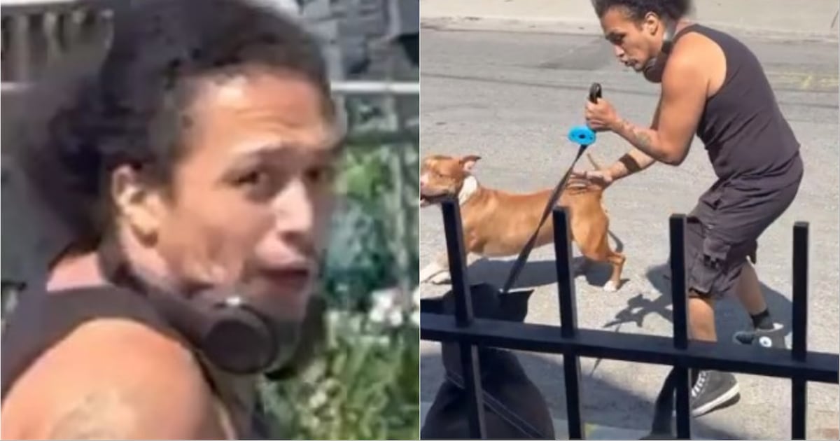 Suspect sought after woman attacked by unleashed dogs