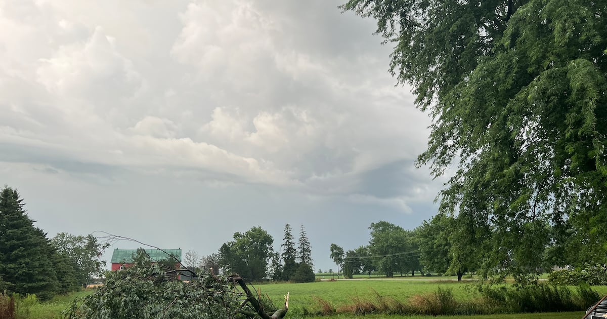 Downed trees and hydro outages reported as storm blows through southern Ontario - CTV News