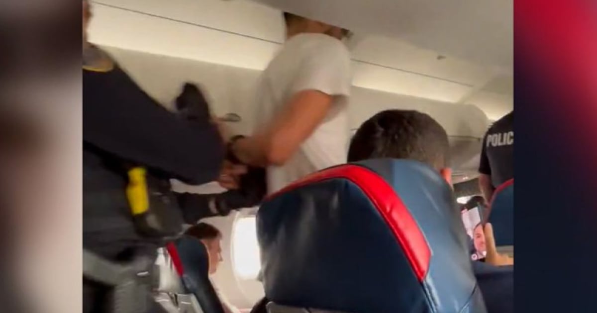 Plane makes emergency landing after passenger tries to open door during flight - CTV News