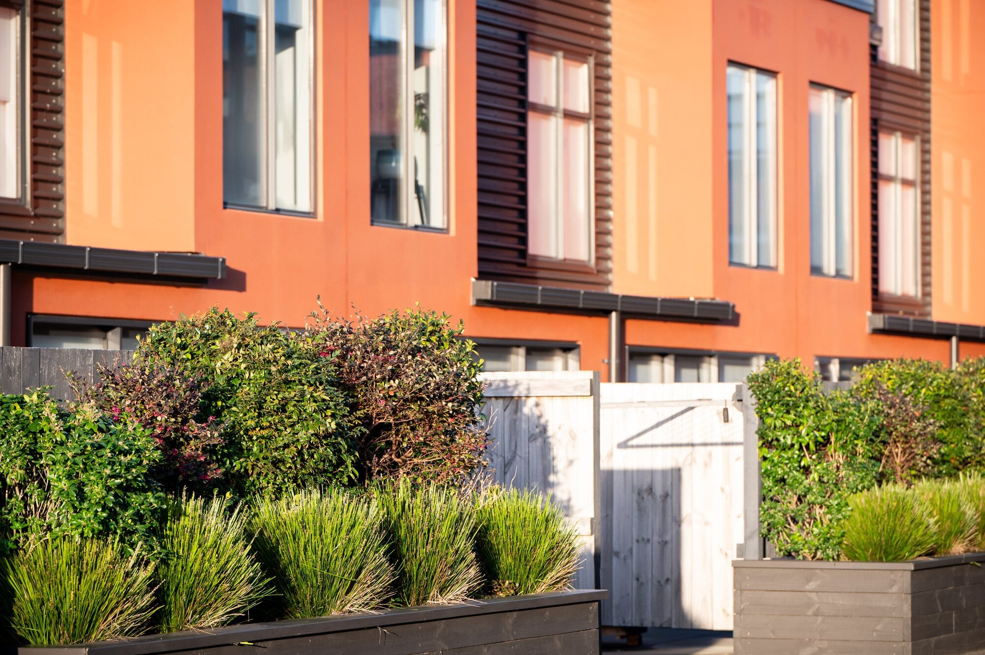  Central Mews features 72 fully occupied townhouses, along with a flourishing orchard.  Photo / Brydie Thompson