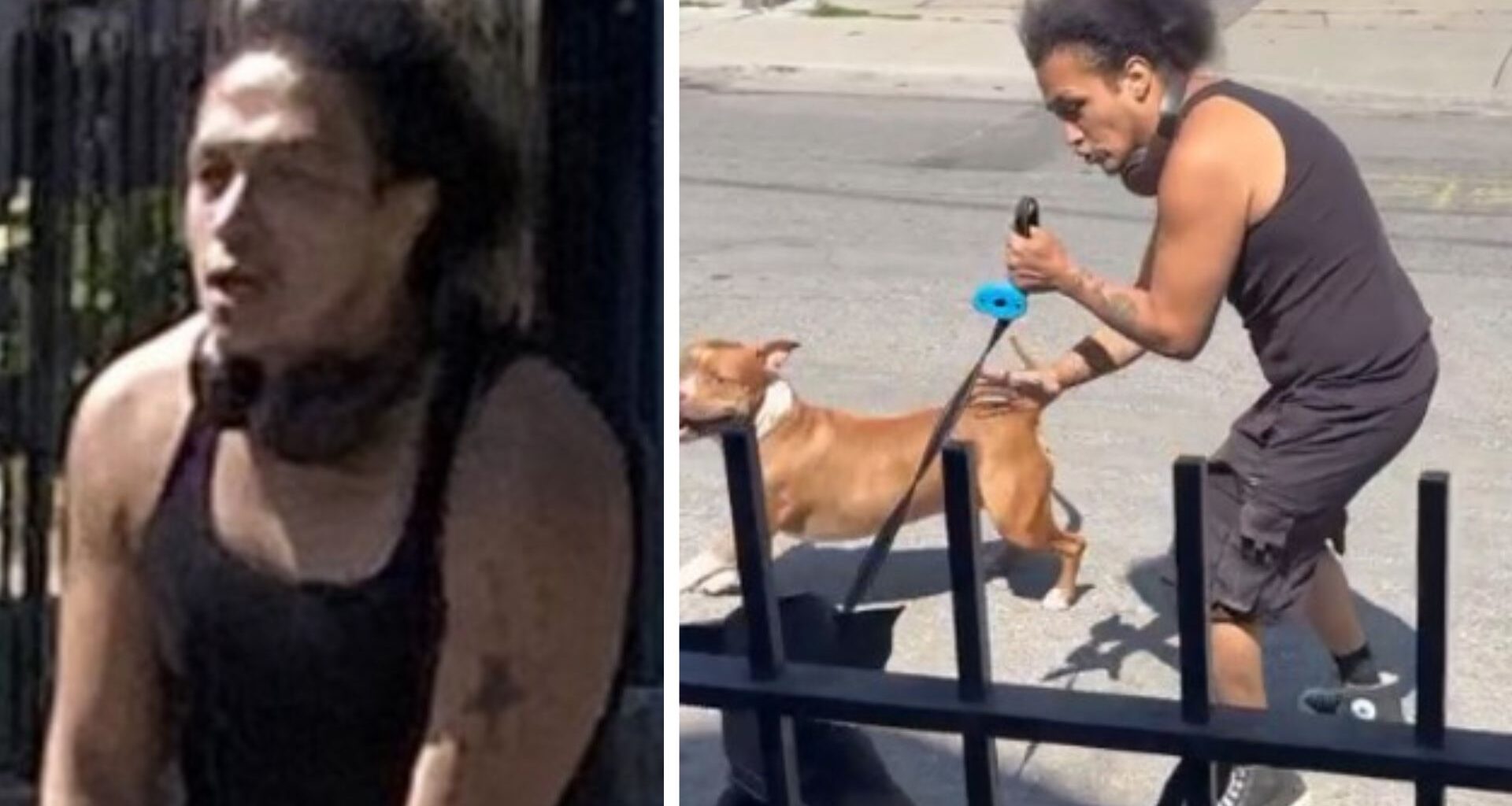 Man wanted in suspected dog attack in Kensington-Chinatown