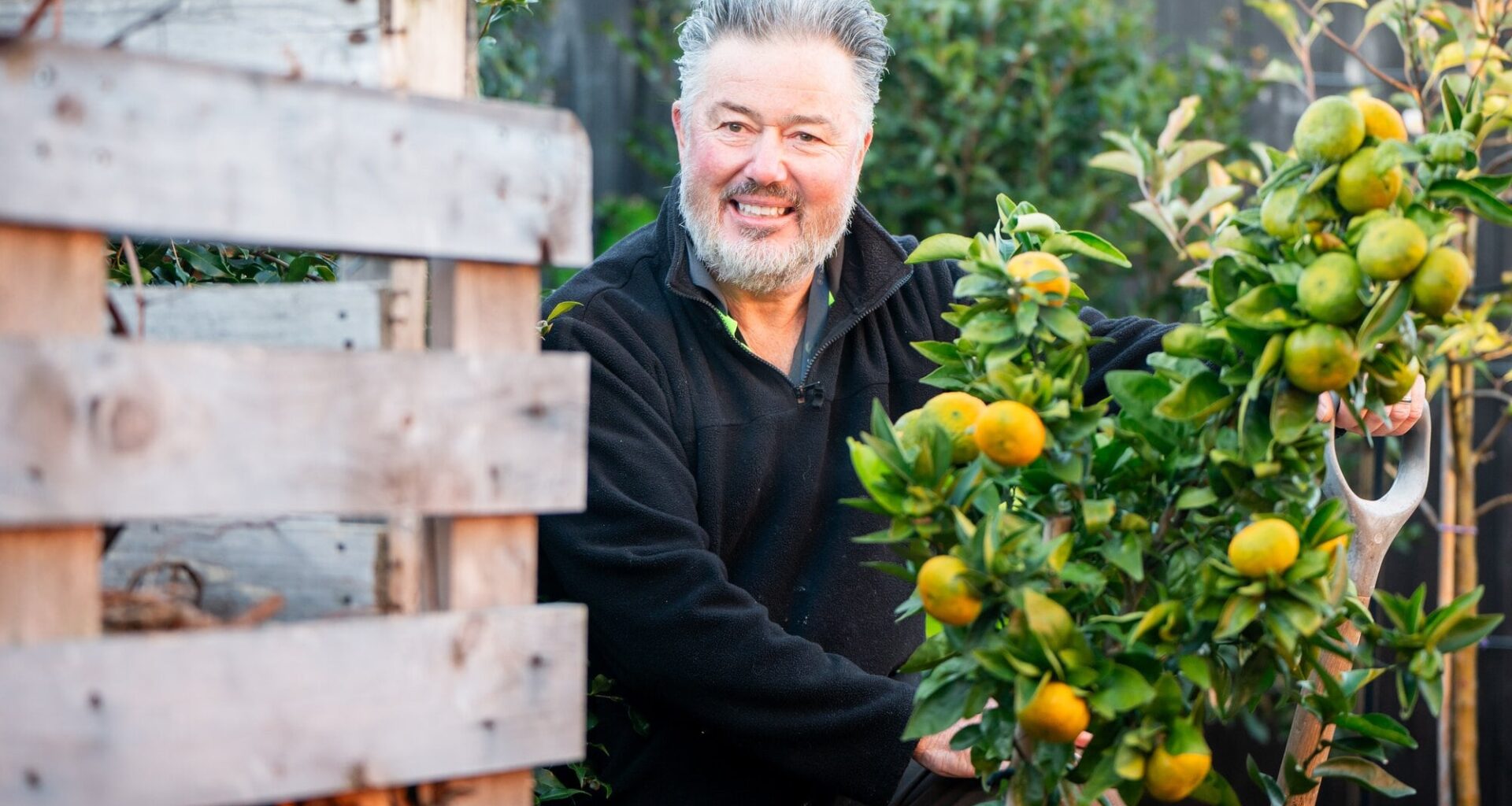 SunLive - Urban orchard transforms housing complex