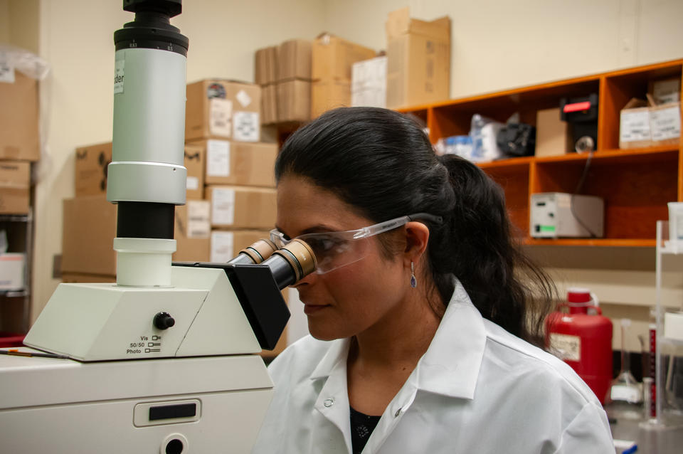 A woman wearing a lab coat and safety glasses stares into a large microscope.
