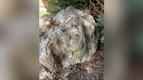 Supplied A fossilised tree stump in Markeaton Park, Derby