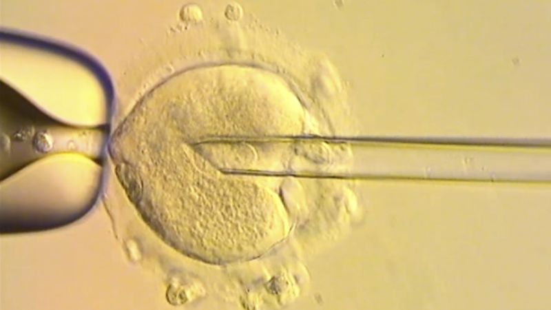 Mitochondrial disease: Healthy babies born in Britain after scientists used DNA from three people to avoid genetic disease