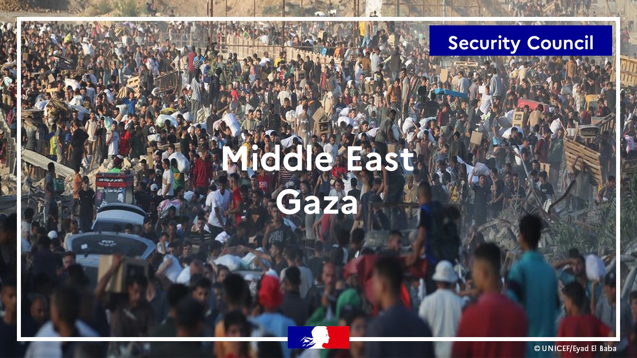 Humanitarian aid must be allowed to enter Gaza immediately and at (...)