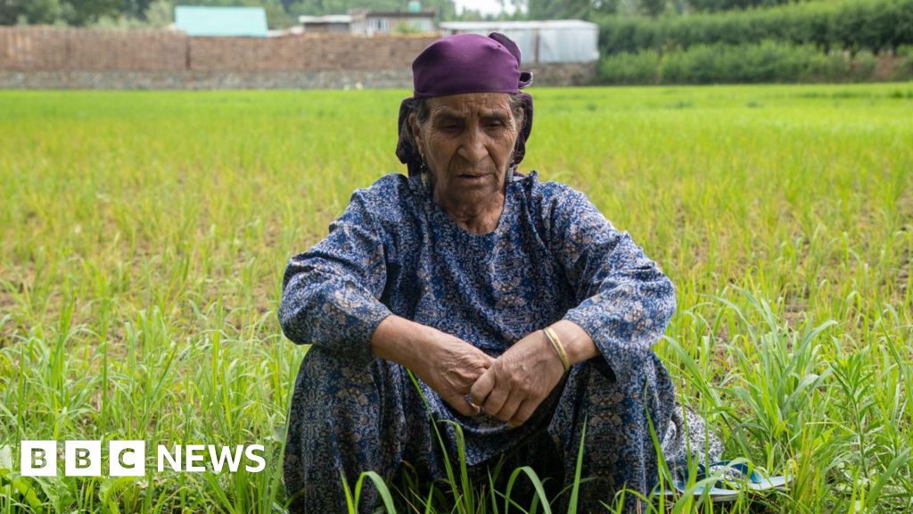 Kashmir's summers are getting hotter, taking a toll on people and farms