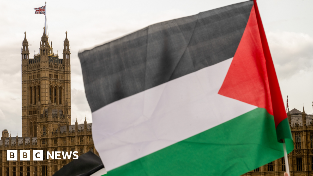 Protesters with Palestinian flags outside the Houses of Parliament