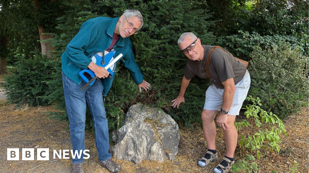 Fossilised tree trunk found in Derby park stumps experts