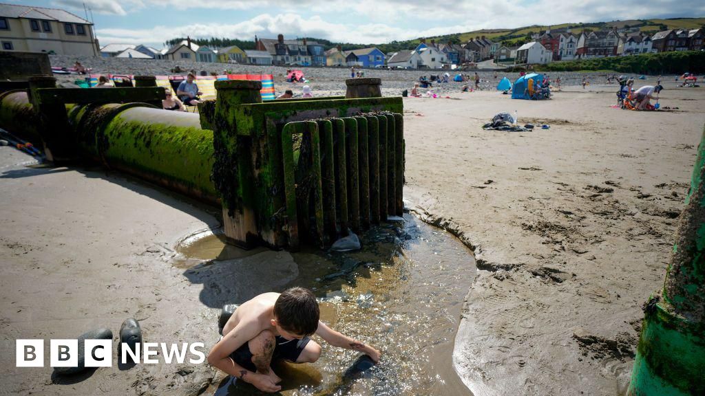 Water company sewage pollution to halve by 2030, minister pledges