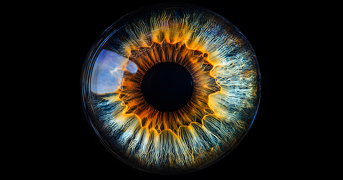 Backed by Philanthropy, CEVO Advancing Personalized Glaucoma Treatment with AI and Imaging | News