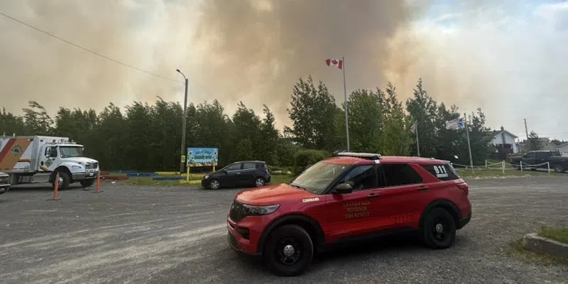 Number of Forest Fires in NL Triple Total Reported in 2024