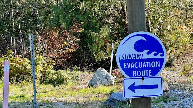 Tsunami watch issued for several parts of the B.C. coast after major earthquake near Russia