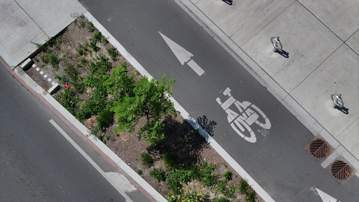 Aerial (drone) images of Bike Lanes on  Bloor St W , in the Annex at Beverly.