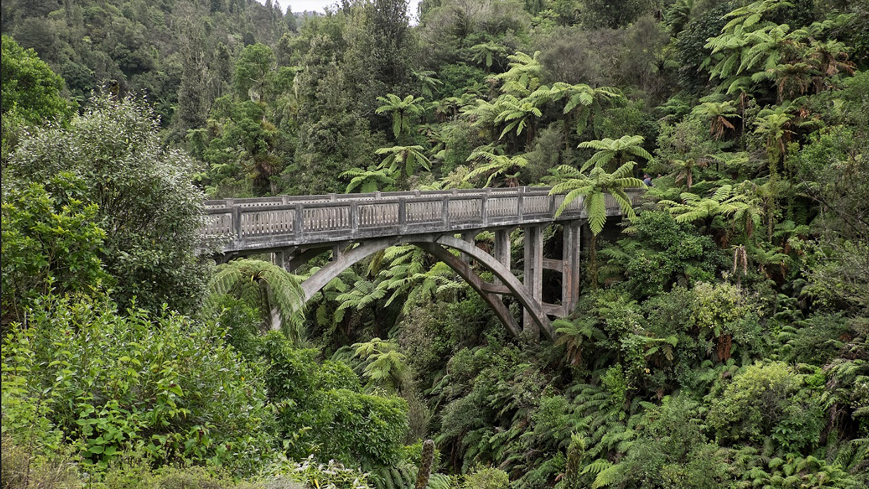 Weekend briefing: Investors upbeat on rising profits