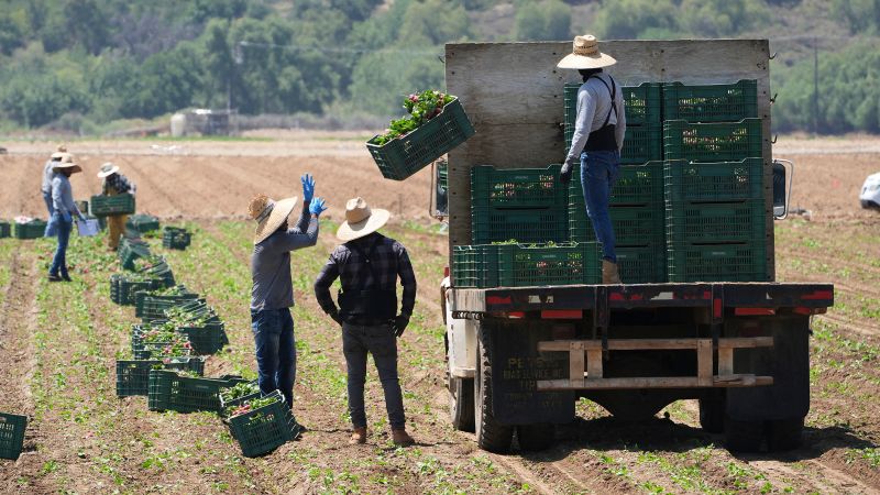 White House tries to assuage industry worries over migrant workers amid aggressive deportation campaign