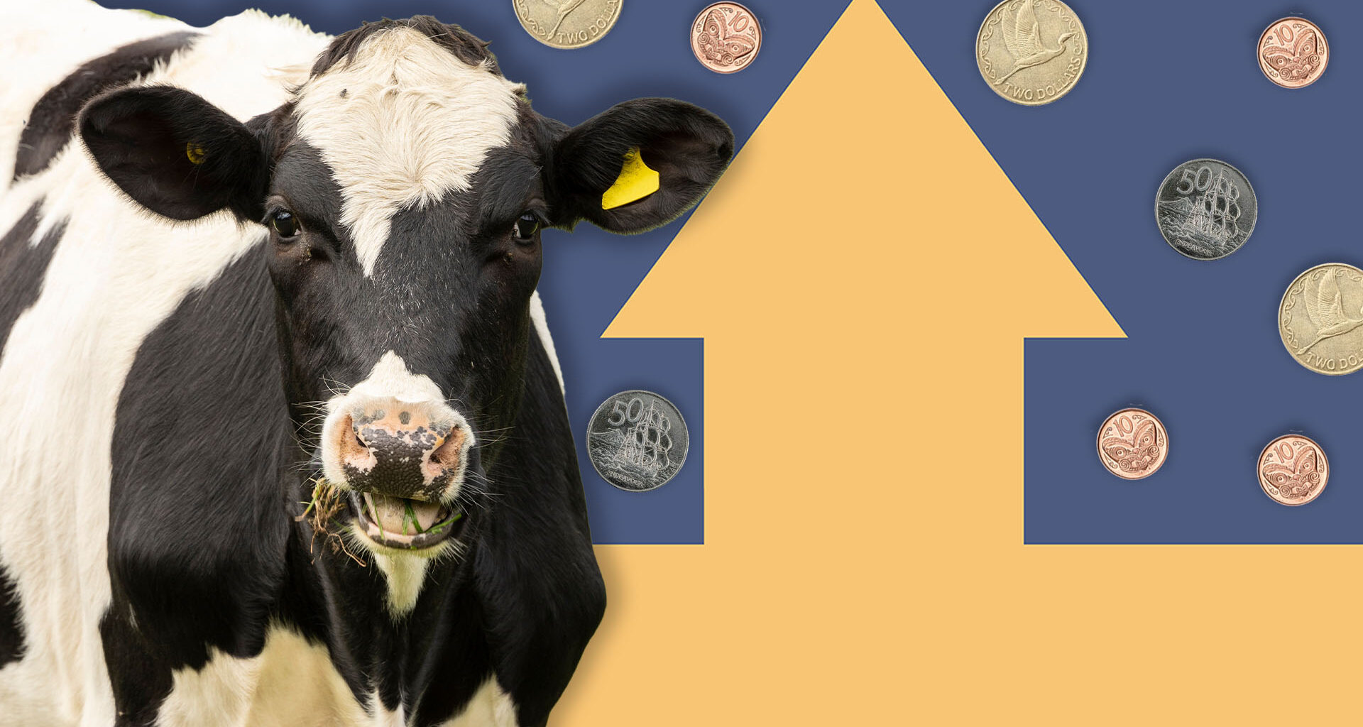 A composite image of a cow overlayed onto an image of an arrow surrounded by New Zealand coins.