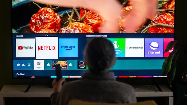 Government blocked streaming sites for public servants as a 'people management issue,' documents show