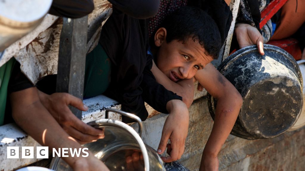 Air dropping Gaza aid is an act of desperation that won't end hunger