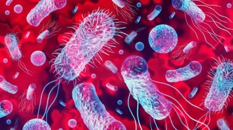 Getty A microscopic view of a virus