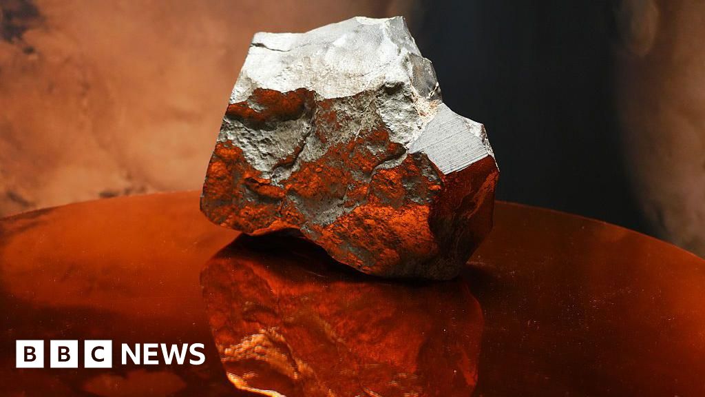 Largest Mars rock ever sells for $4.3m at auction