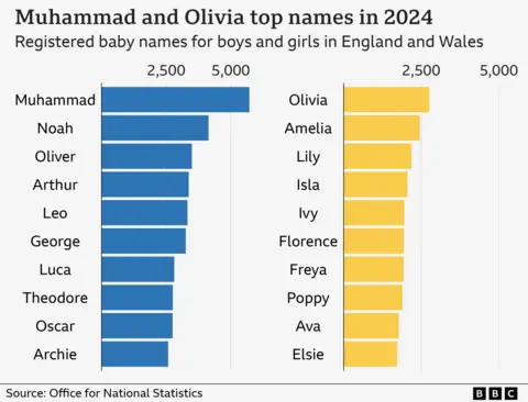 A yellow and blue bar chart showing the popularity of baby names in 2024 in England and Wales. In the top slot for boys is Muhammad and for girls, Olivia. 