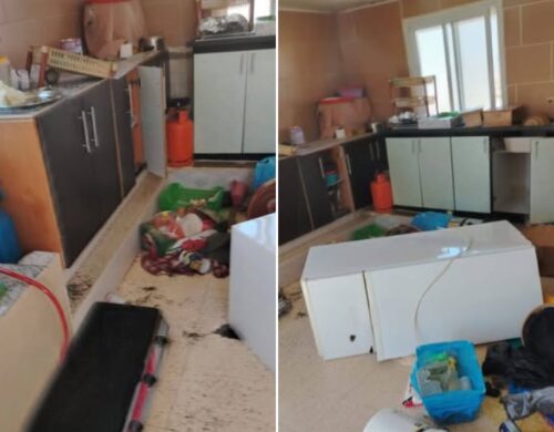 Israeli Colonizer Attacks Across the Occupied West Bank |