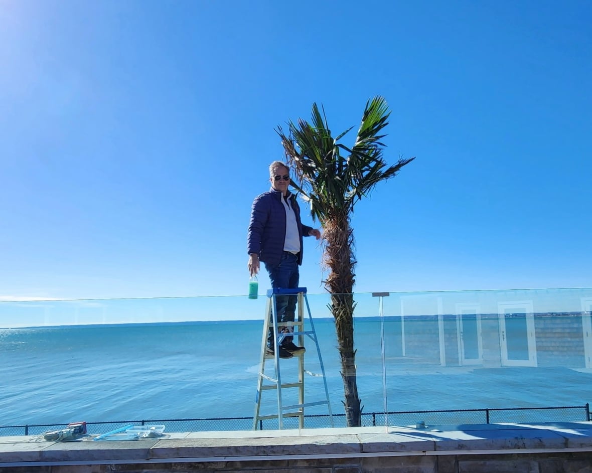 Dan Richard with one of his palms. Richard runs Niagara Tropics and say the plant hardiness zones map gives gardeners and other growers a chance to try out new plants in their regions.