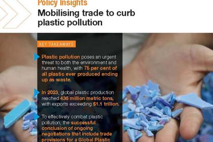 Global Trade Update (August 2025): Mobilising trade to curb plastic pollution