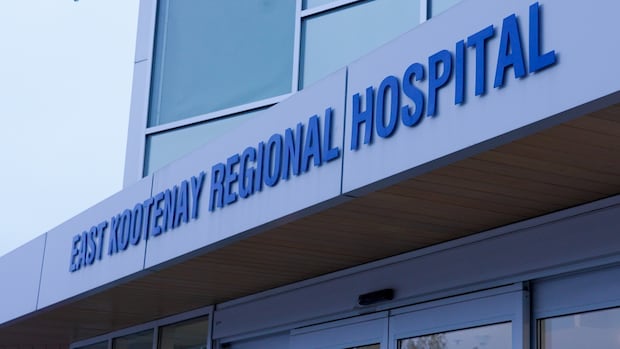 Man hospitalized with life-threatening injuries after grizzly bear attack in B.C.