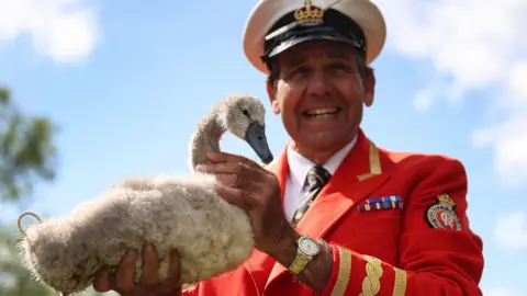 EPA The King's Swan Marker with a cygnet during the swan upping tradition in 2025