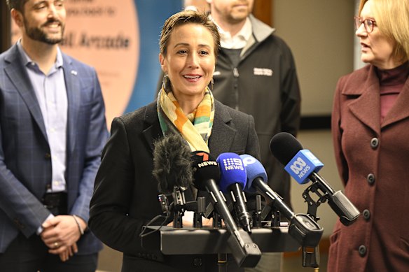 Victorian Transport Minister Gabrielle Williams says dangerous e-bikes and scooters are being freely imported and stronger regulation is needed. 