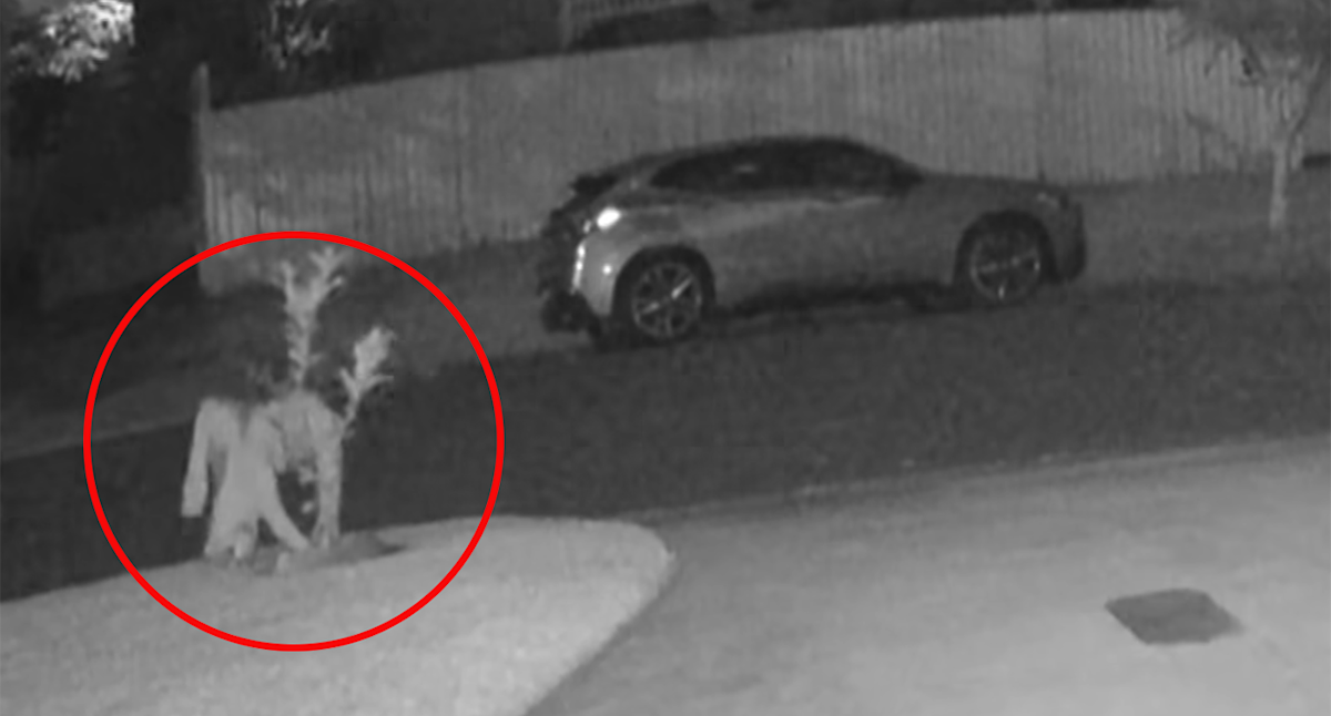 Illegal garden act caught on Aussie mum's home camera highlights strange new trend