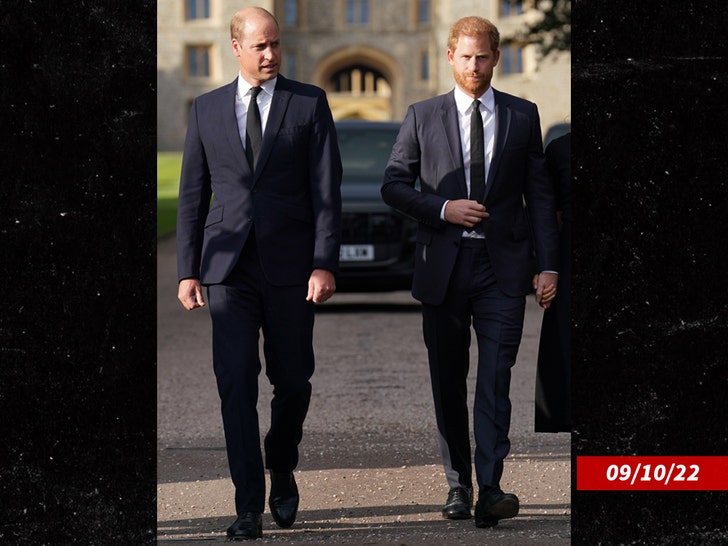 prince-harry-prince-william-sub-getty-1